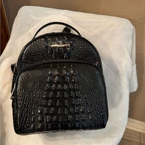 Brahmin backpack